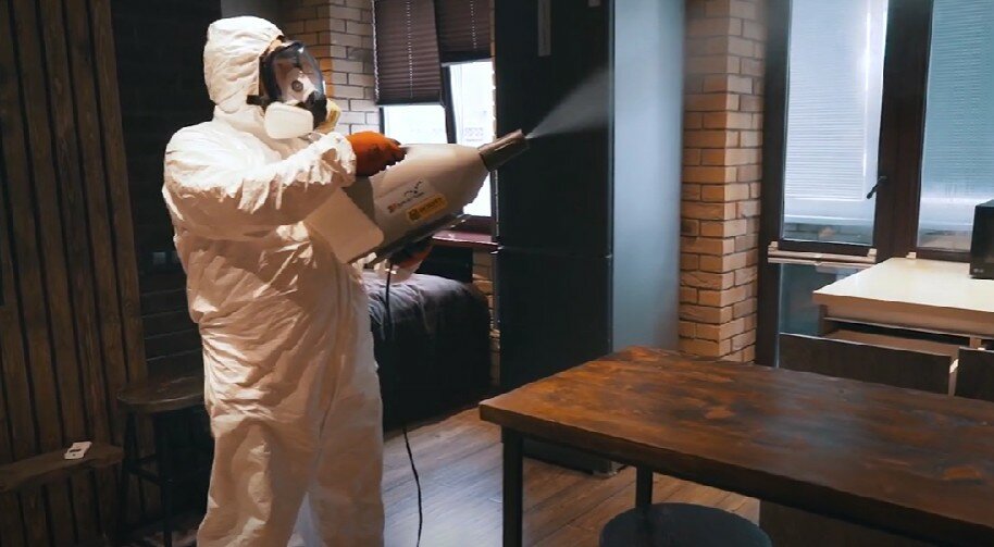 дезинсекция, дезинфекция дезинсекция дератизация, дезинфекция, дезинфекция и дезинсекция, дезинсекция клопов туманом