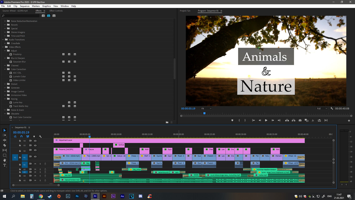 adobe premiere pro, интерфейс программы адобе премьер про, интерфейс адобе премьер про, автоматизация в адобе премьер про, premiere pro интерфейс