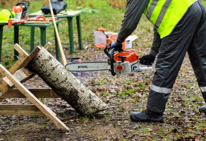 stihl ms362c, stihl pg 25, stihl ms 780, stihl, профессия лесоруб stihl