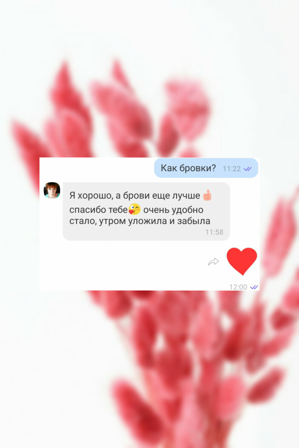 скриншот с текстом, лагурус меди пинк, розовый цветок, flower flower, цветки