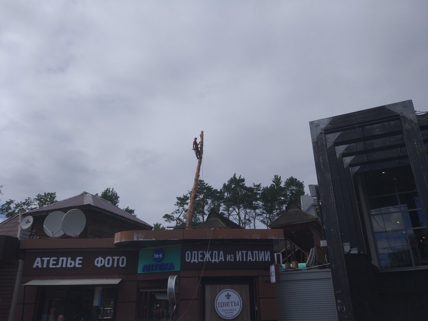 здание, улица, кафе, rainbow лос анджелес, memphis tennessee