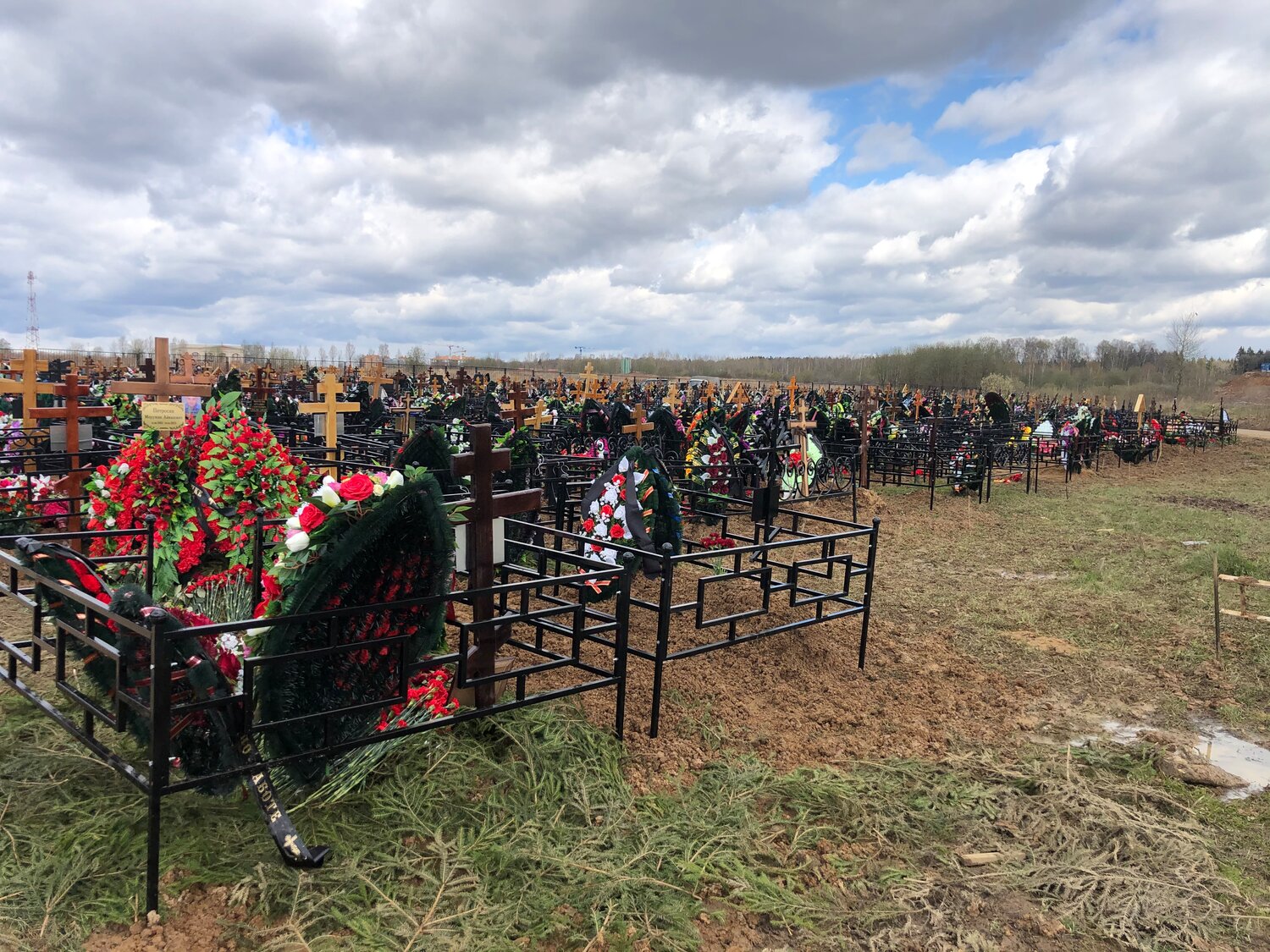 кладбище, захоронение на кладбище, новое кладбище, кладбище в россии, осташинское кладбище ярославль