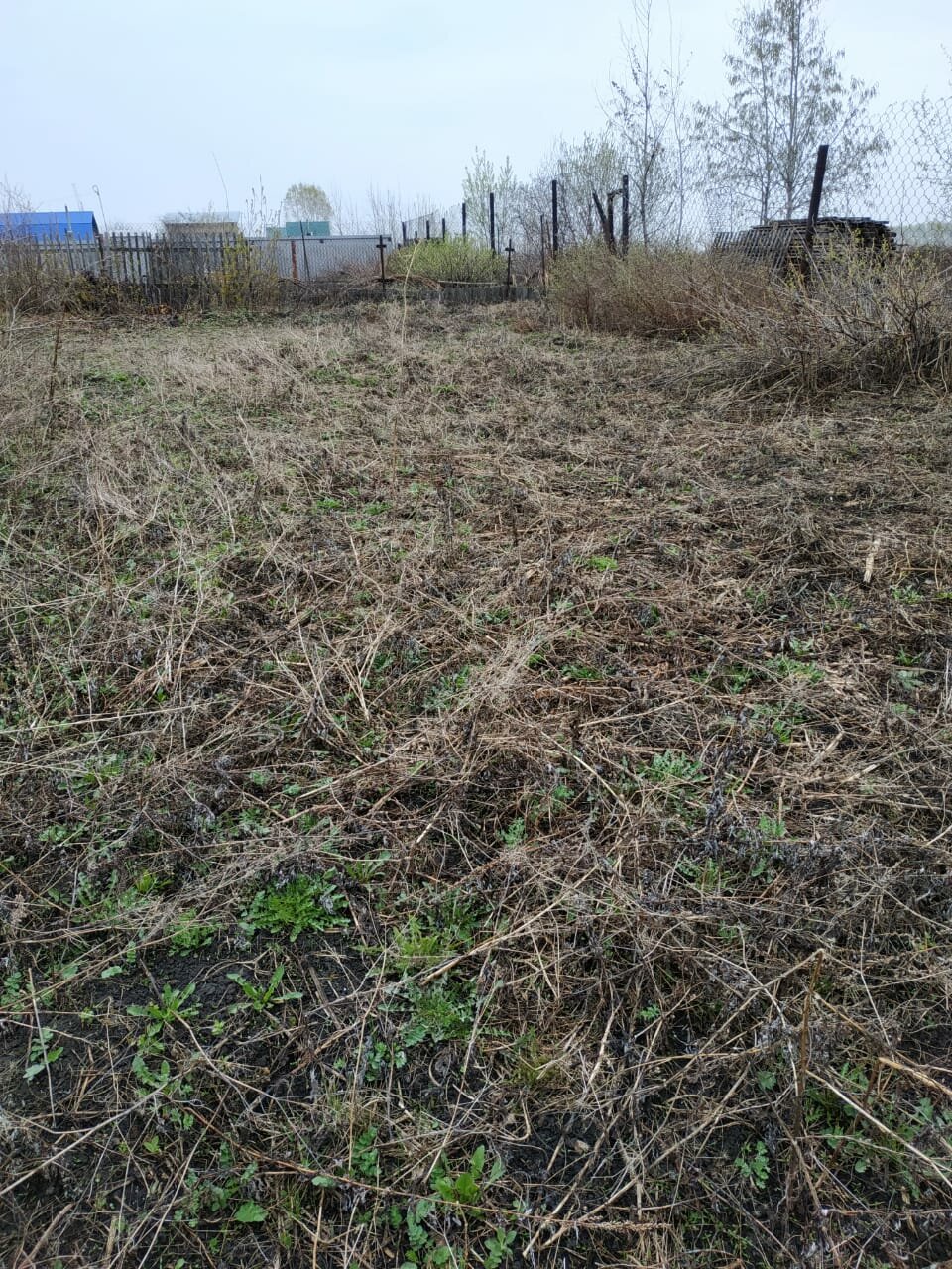 земельный участок, участок, земли поселений, в деревне, сотк