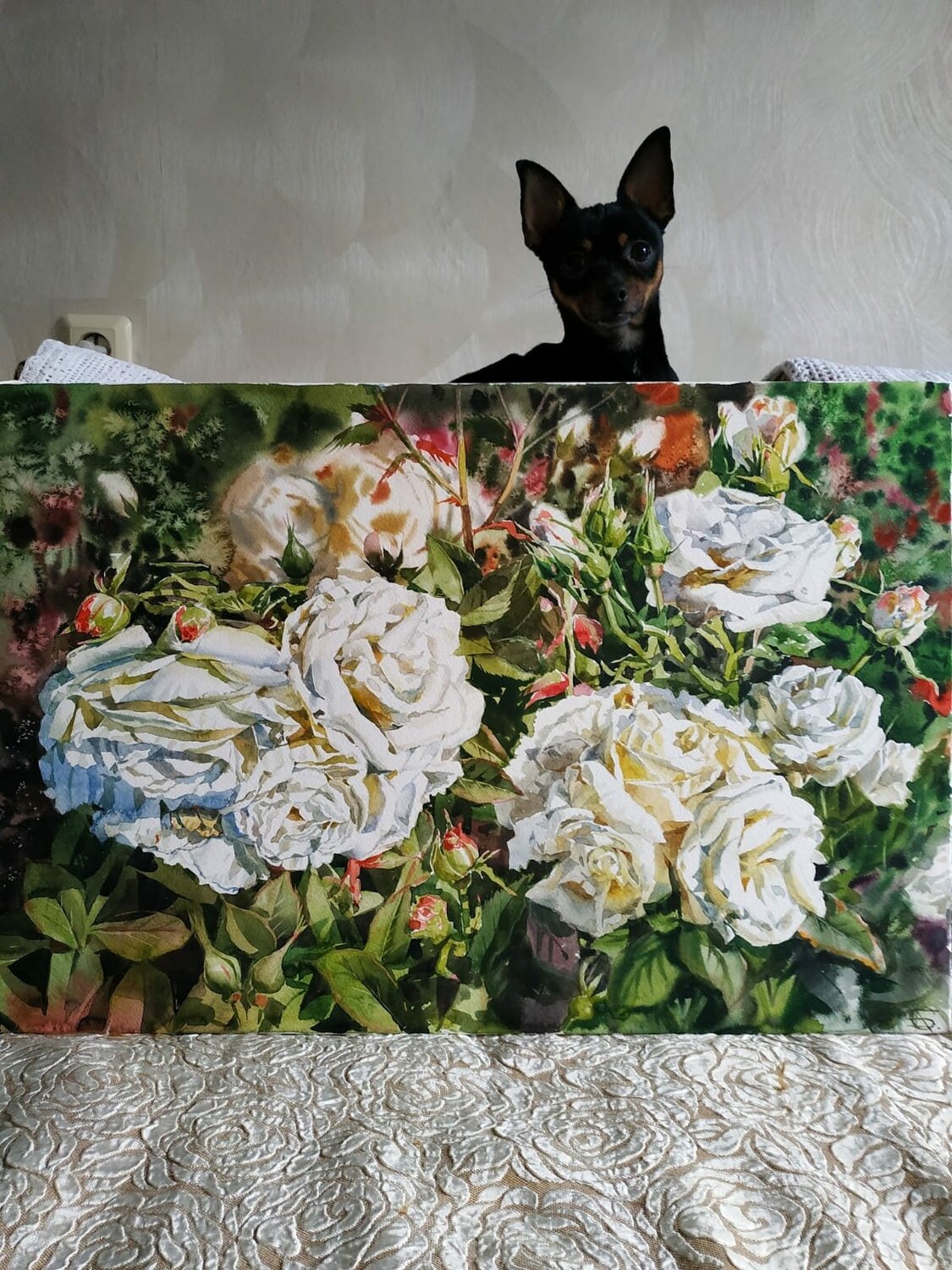 питомник анни банч гладкошерстный той терьер, терьер, собачки той терьер, картина той терьер, английский той-терьер