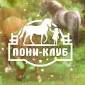 Пони-клуб Брянск