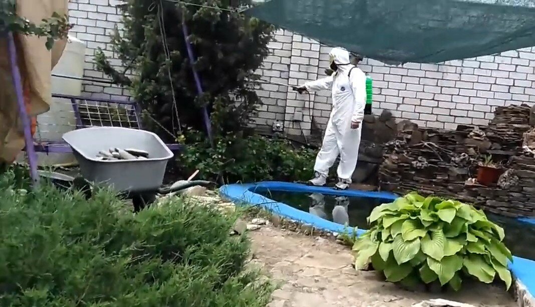 дезинфекция, обработка участка от комаров, дезинсекция, дезинфекция участка от клещей, обработка участка от клещей