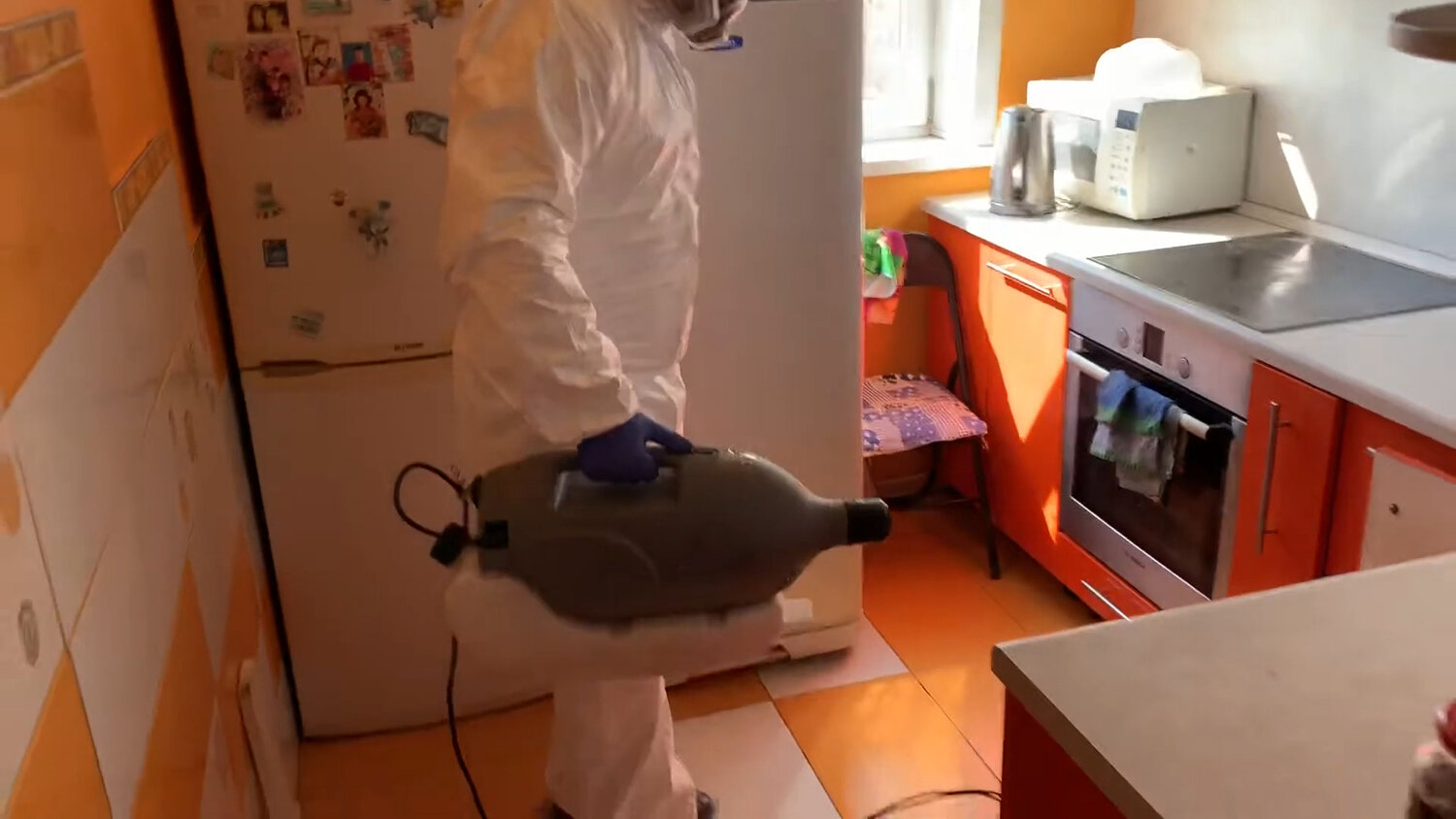 дезинсекция, дезинфекция, дезинфекция дезинсекция дератизация, дезинфекция от клопов, дератизация и дезинсекция