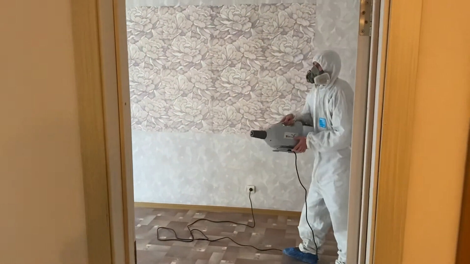 дезинсекция, дезинфекция, дезинфекция и дезинсекция, дезинсекция моли, дезинфекция дезинсекция дератизация