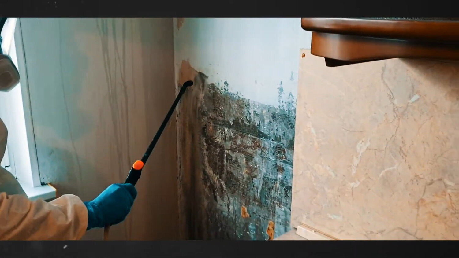 обработка стен от плесени, дезинфекция от плесени, плесень на стенах, плесень под обоями, дезинфекция