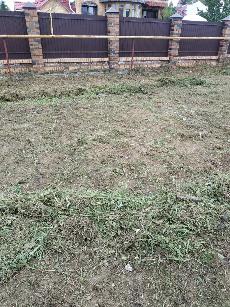 земельный участок, участок земли, дачный участок, участок, посадка газона