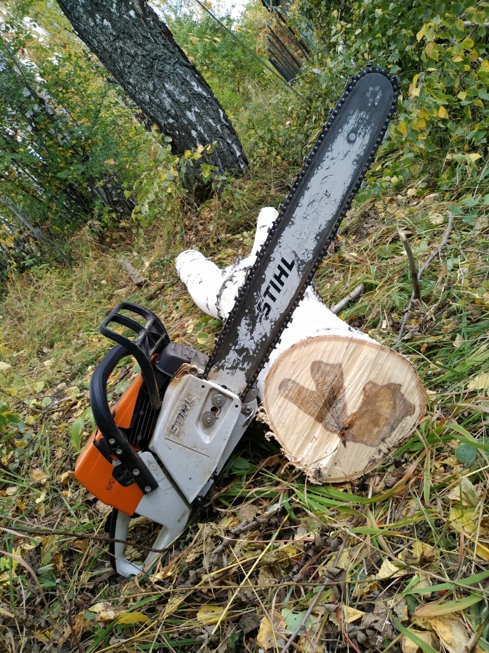 пила штиль 520, пила штиль мс 361, stihl ms 250, stihl ms 036, бензопила штиль 361 обзор
