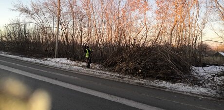 дорога, ржевский лесопарк железная дорога, трасса, паводок в черновке, лесополоса в барнауле