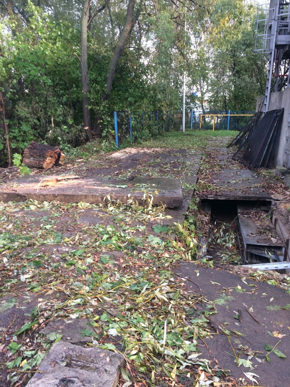 лестницы в лесу, лестница в лесу мистика реддит, дорога, лестница леса, участок