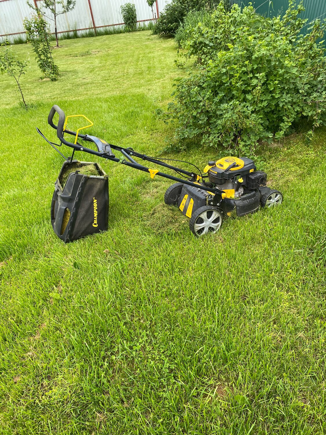 газонокосилка бензиновая huter glm-6.0s, газонокосилка хутер бензиновая, газонокосилка бензиновая, самоходная газонокосилка бензиновая, газонокосилка huter