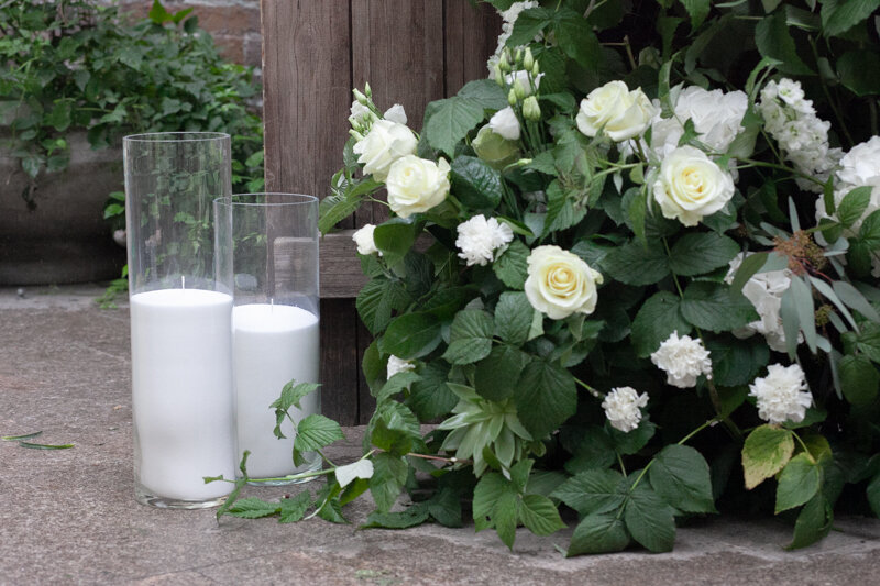 роза флорибунда white bouquet, белые розы, садовая роза, садовая роза кустовая, роза ванилла