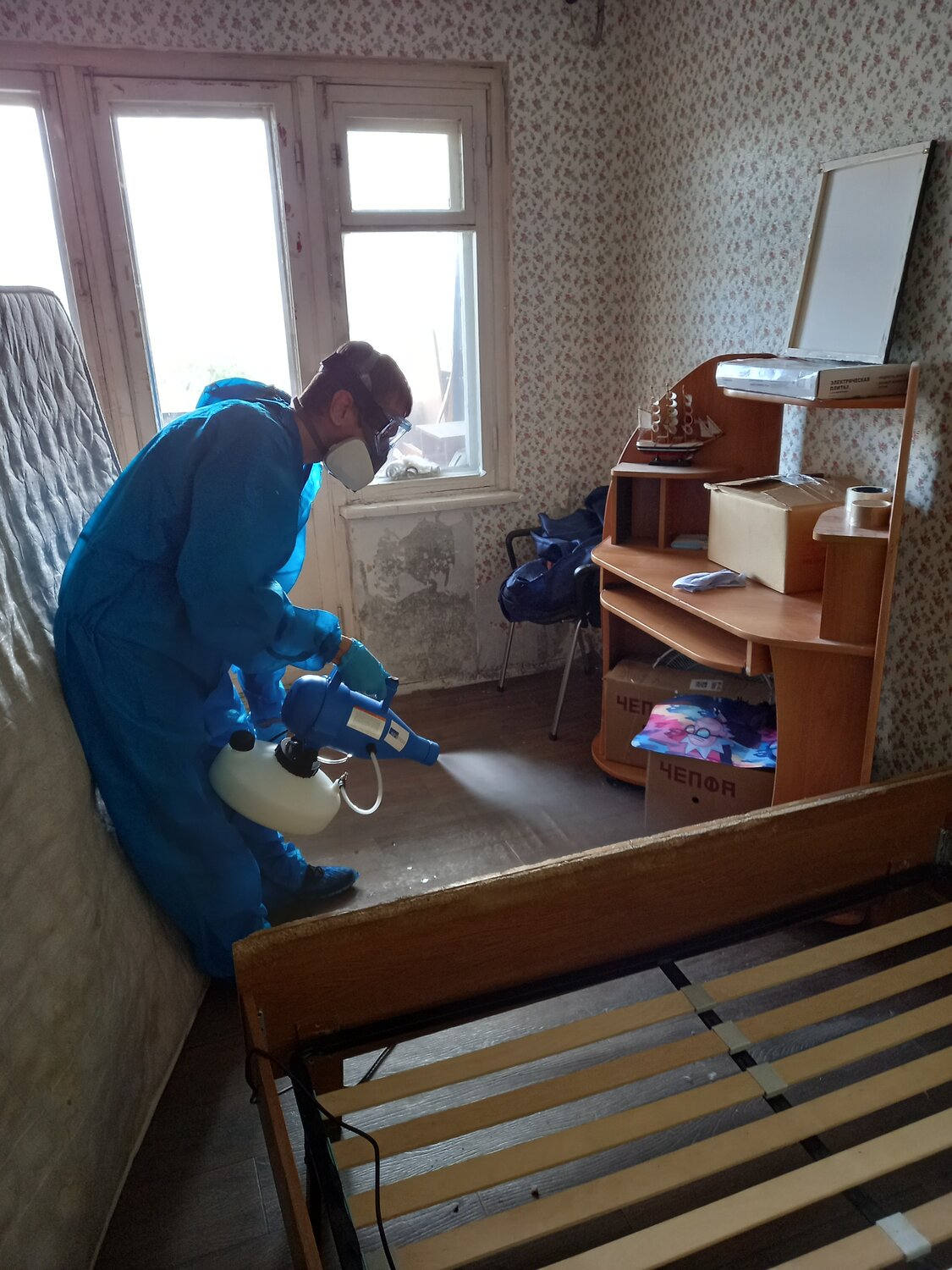 обработка от клопов, уничтожение клопов, дезинсекция, дезинфекция, дезинфекция и дезинсекция