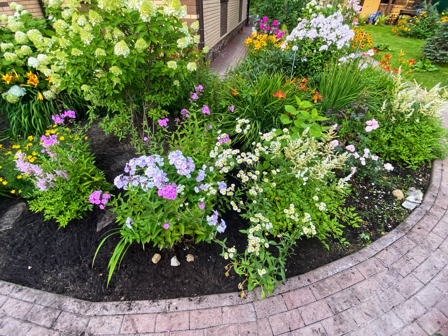 цветник на даче, цветник на участке, красивые цветники на даче, клумбы на даче, красивые клумбы