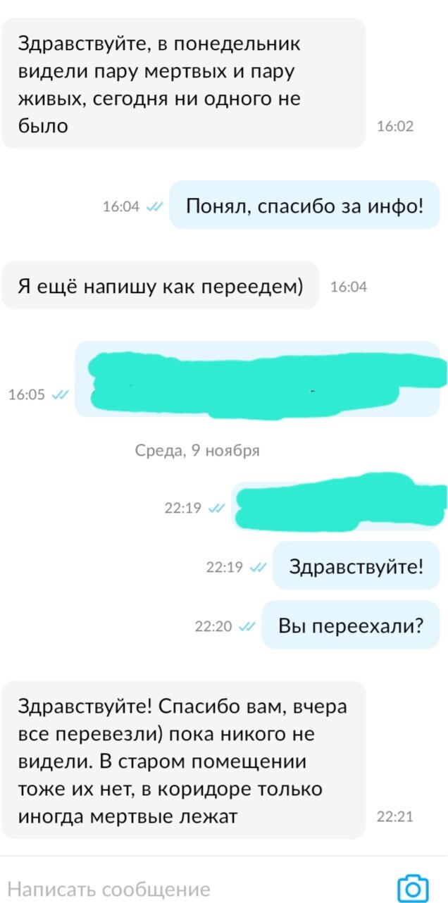 переписки, смешные переписки, смешные переписки с покупателями, прикольные переписки, мемы