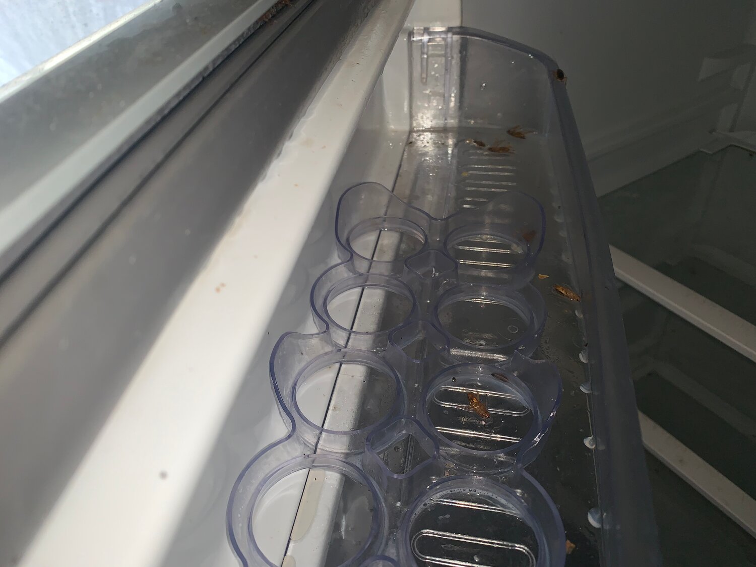 холодильник leran cbf 199 w, холодильник леран cbf 425 beg nf, холодильник leran, холодильник leran cbf 370 bix nf, холодильник atlant хм 4524-180 nd