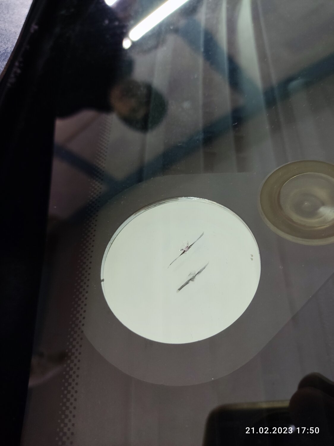 выставка, музей, выставка в музее, монета, выставка графики