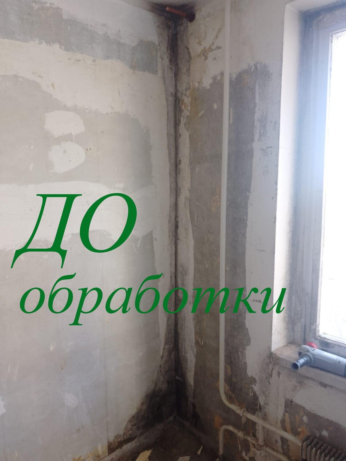 ремонт, отделка квартир, квартира, для выравнивания стен штукатурка теплон, штробление стен