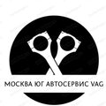 Москва-Юг моторы Vag