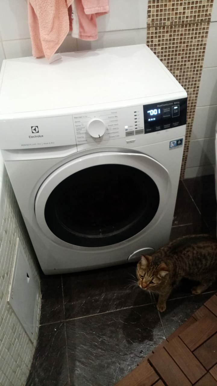 стиральная машина electrolux, стиральная машина с сушкой electrolux ew7wr361s, стиральная машина electrolux perfectcare 700 ew7wr4684w, стиральная машина electrolux ew7wr447w, стиральная машина electrolux perfectcare 600 ew6s4r06w