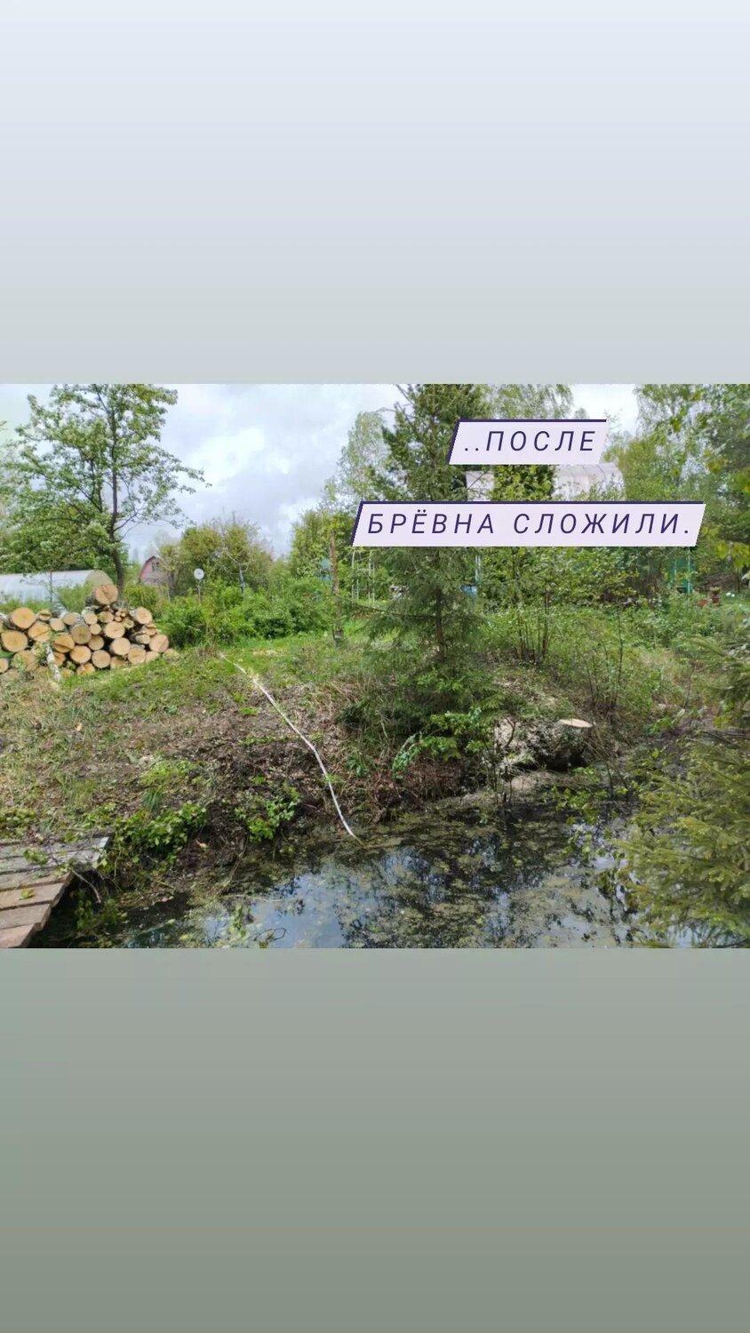 речка, лесная речка, природа, ручей, страница с текстом