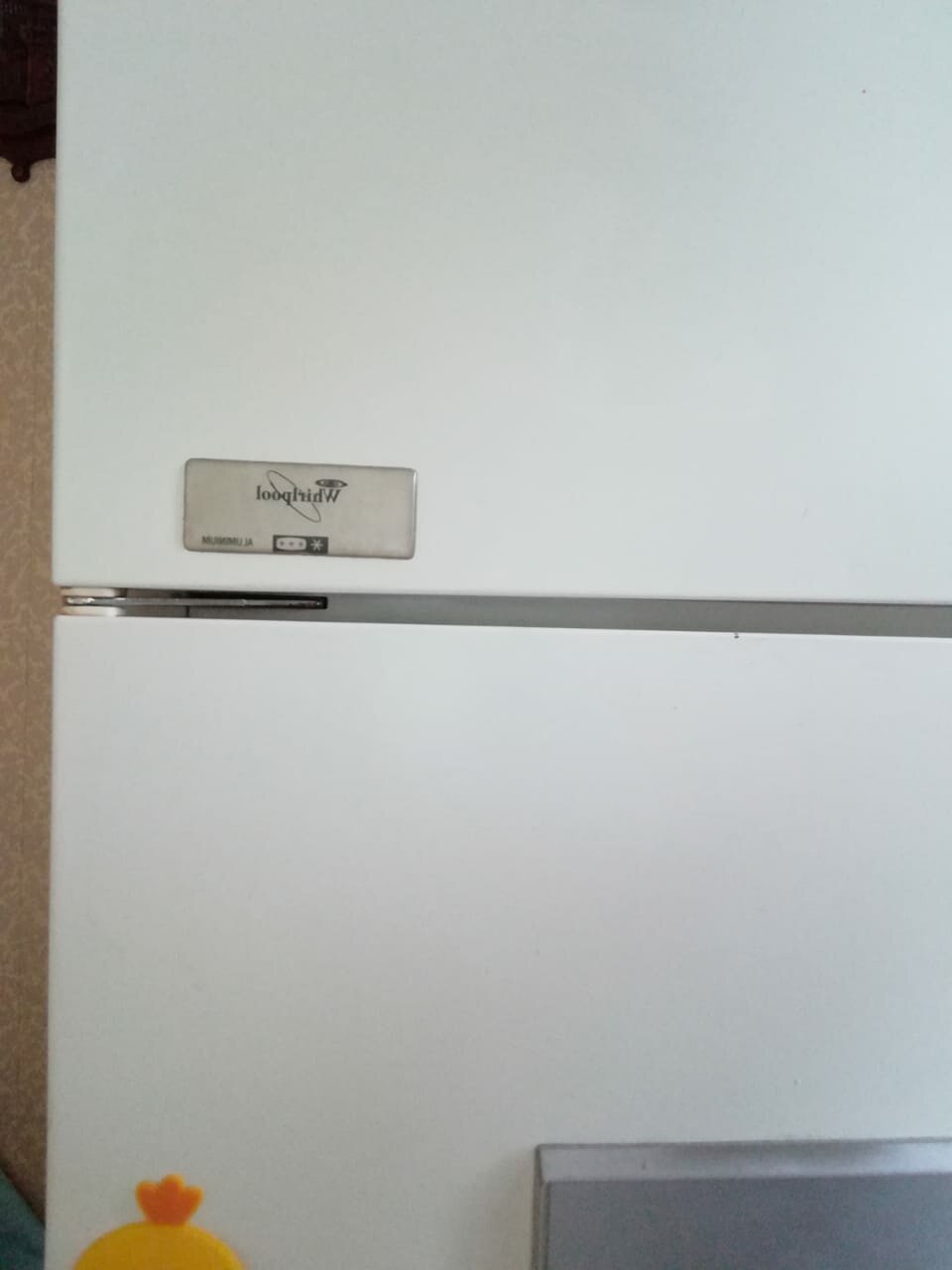 бытовая техника, холодильник, холодильники бу, техника для кухни, бытовая техника холодильник