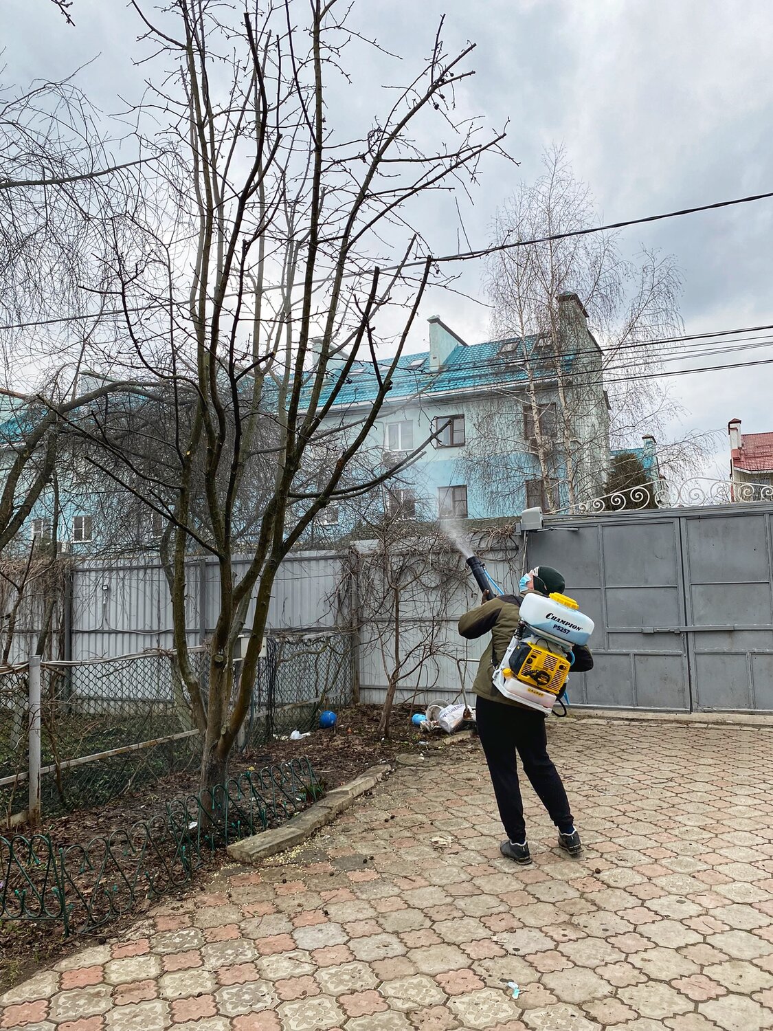 обработка сада, техника для дачи, яблоня обрезка, огород, обрезка плодовых деревьев