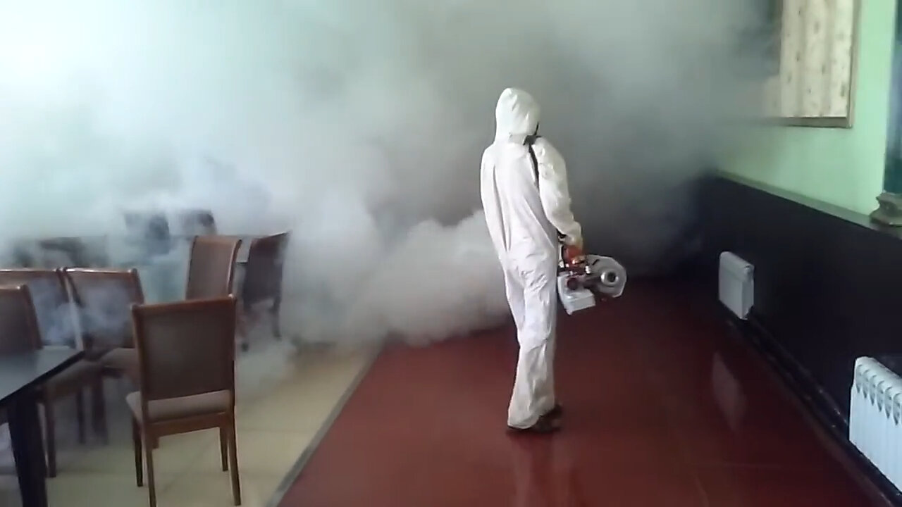 дезинсектор холодный туман, холодный туман от клопов, дезинсекция клопов туманом, холодный туман от тараканов, холодный туман