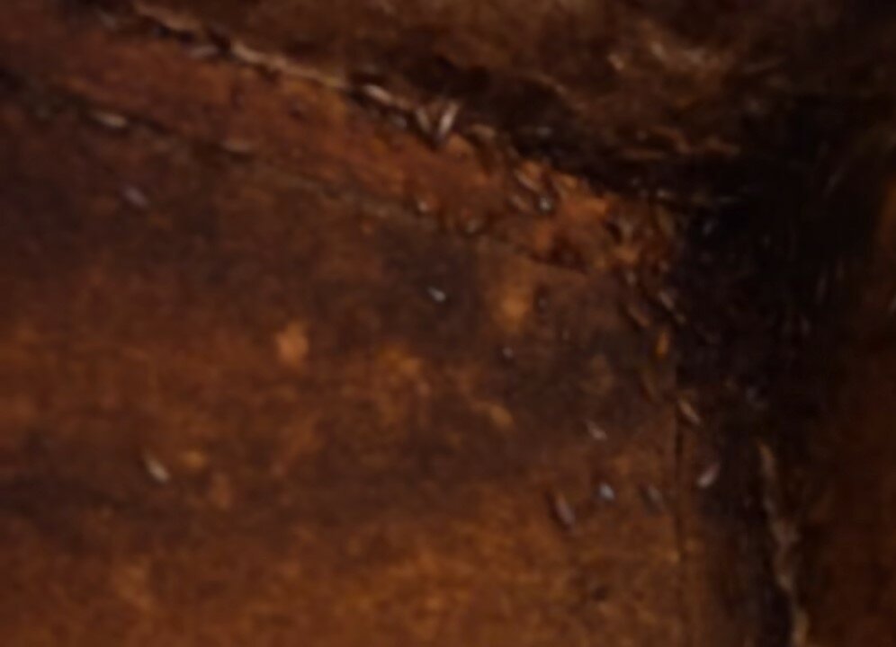 коричневая, цвет коричневый, человек, gold mine, brown