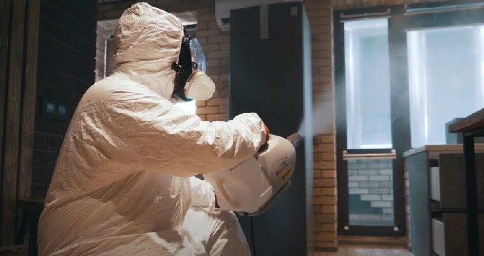 дезинсекция, дезинфекция, дезинфекция и дезинсекция, дезинфекция помещений, дезинфекция дезинсекция дератизация