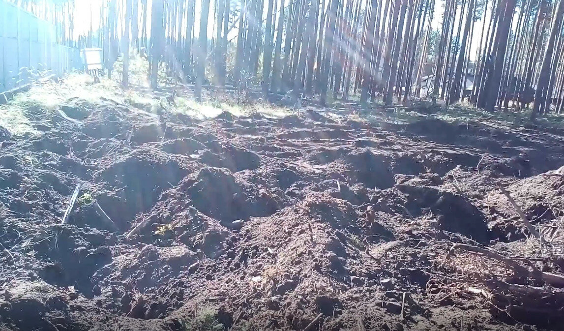 восстановление леса, слои почвы, восстановление лесов, лес, подготовка почвы