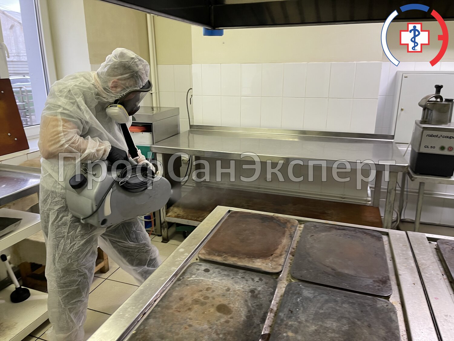 дезинфекции, дезинфекция и дезинсекция, санитарная обработка, дезинсекция, дезинфекция дезинсекция дератизация
