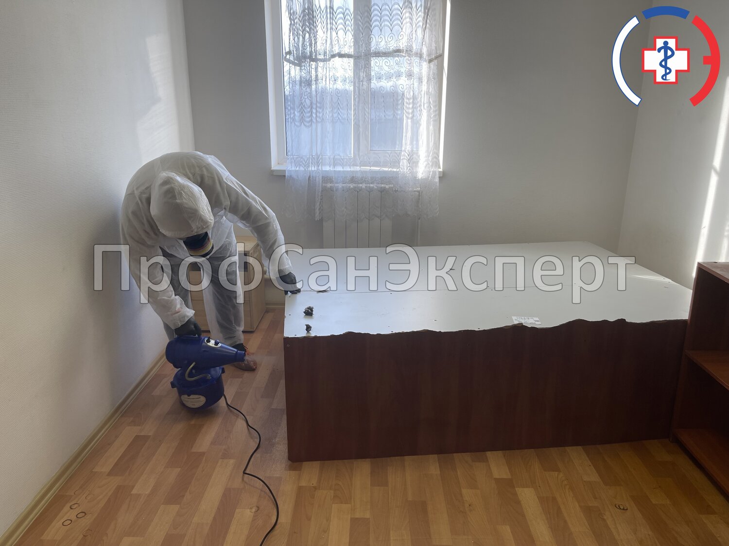 уничтожение клопов, дезинфекция от клопов, дезинсекция, дезинфекции, дезинфекция от клопов в квартире