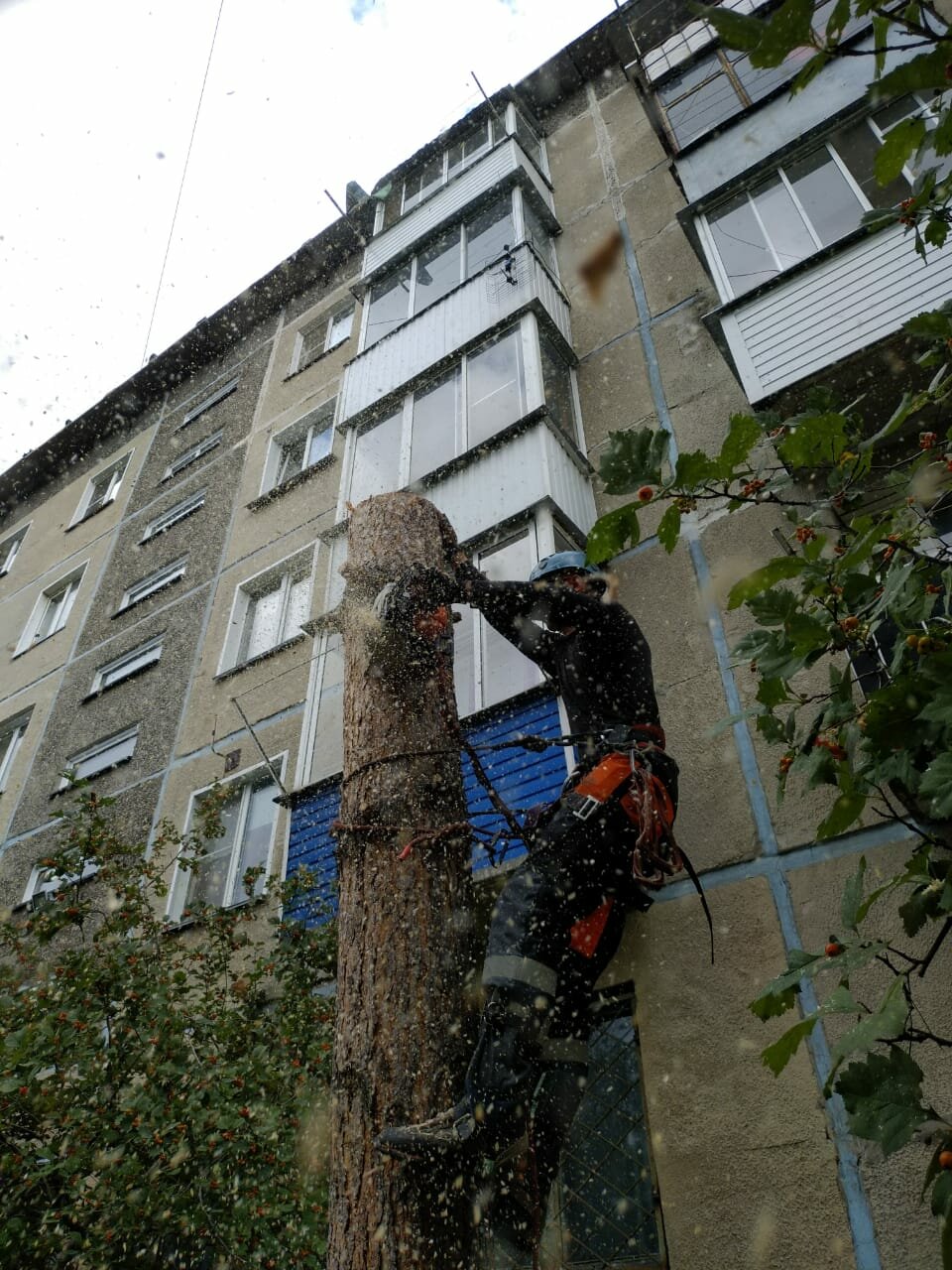 аварийные деревья, кронирование деревьев, утепление стен снаружи дома ульяновск, здание, опиловка деревьев