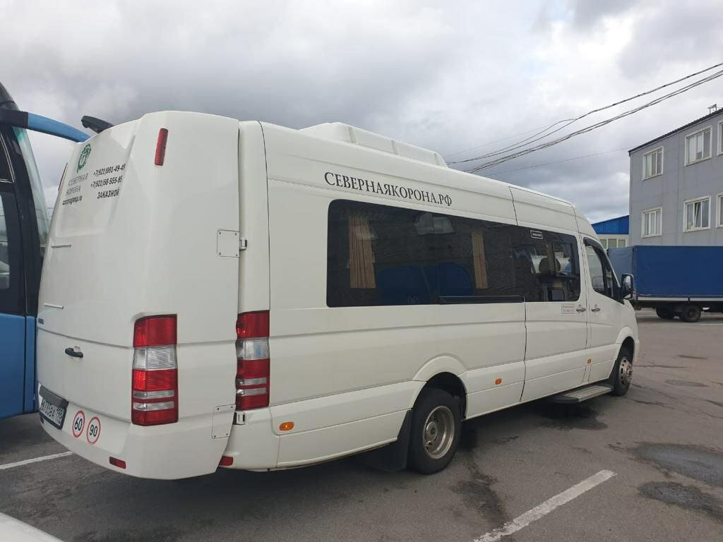 mercedes-benz sprinter, мерседес спринтер 8 мест дельфин, микроавтобус мерседес спринтер, автобус мерседес спринтер, mercedes-benz