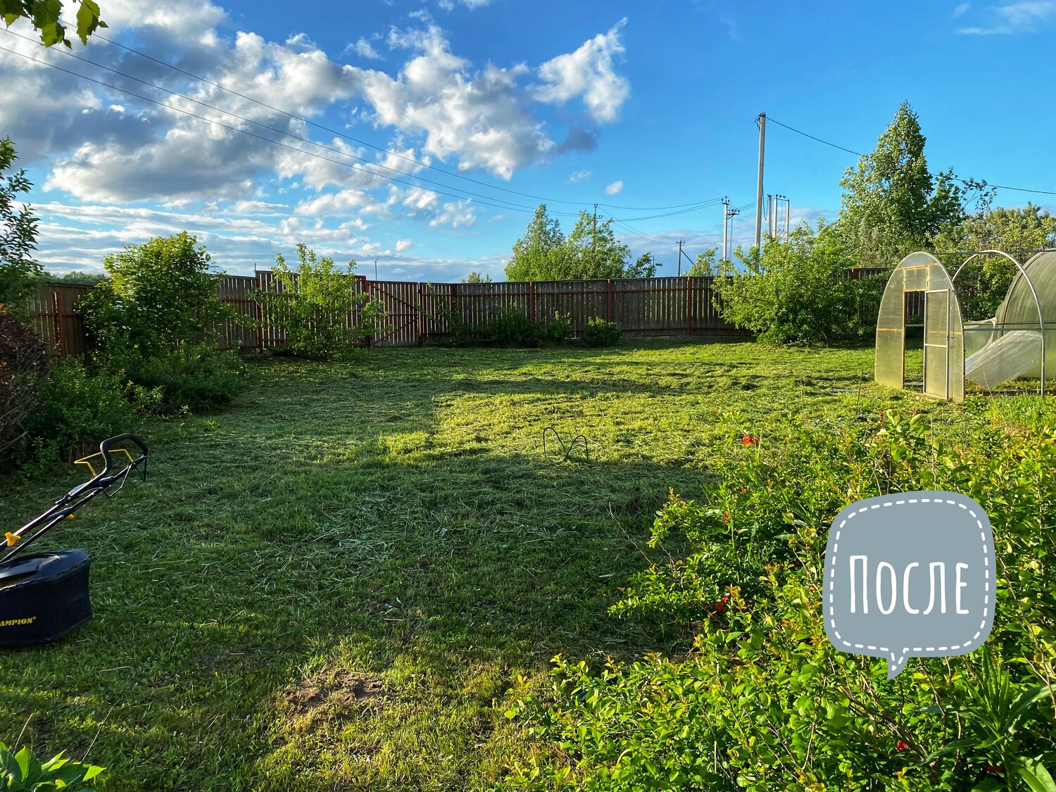 участок, дача, в деревне, дачный участок, дома в деревне