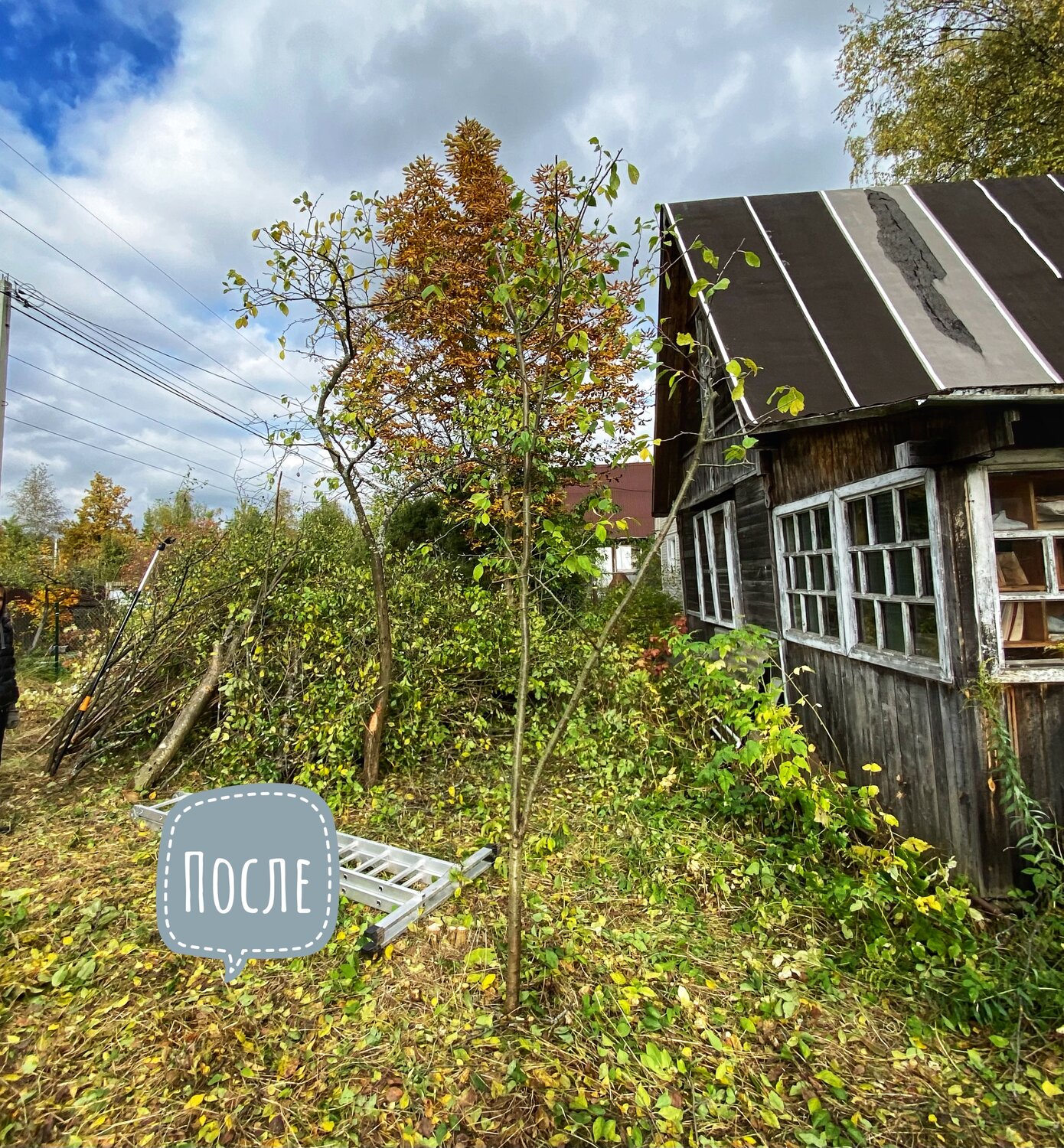 дача, ленинградская область, гатчинский р-н, поселок новый свет., дом дача, участок в деревне, участок