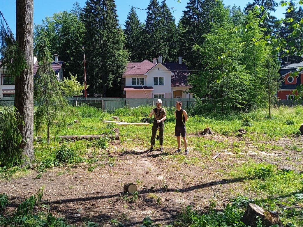 участок, парк дендрарий волхонка, загородный лагерь, лагерь уралец, дачный участок