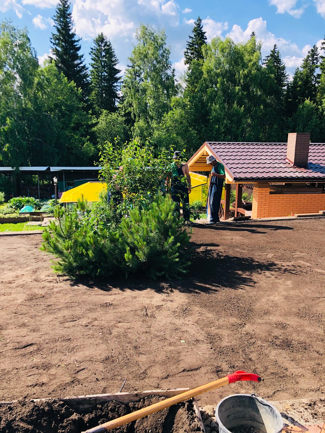 дачный участок, ландшафтный дизайн, дача, ландшафтный дизайн участка, ландшафтный дизайн на даче