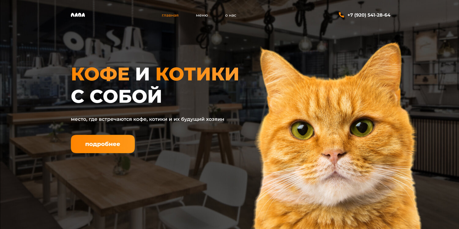 кот боб, кот, рыжий кот, рыжий котик, котики