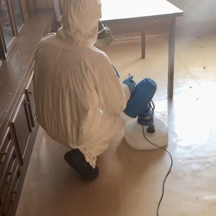 дезинсекция, дезинфекция от клопов, дезинфекция, дезинфекция дезинсекция дератизация, химическая дезинфекция