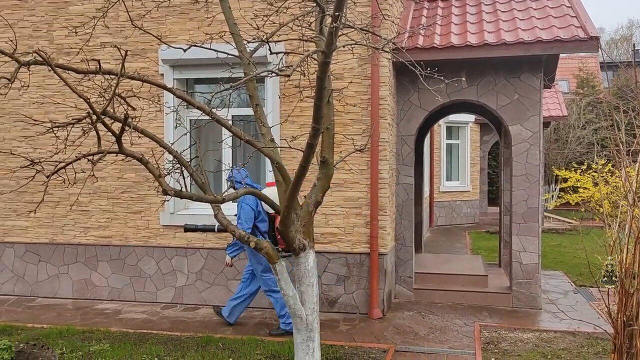 обработка сада, обработка участка от клещей, медный купорос обработка деревьев яблони, весенняя обработка сада, опрыскивание деревьев