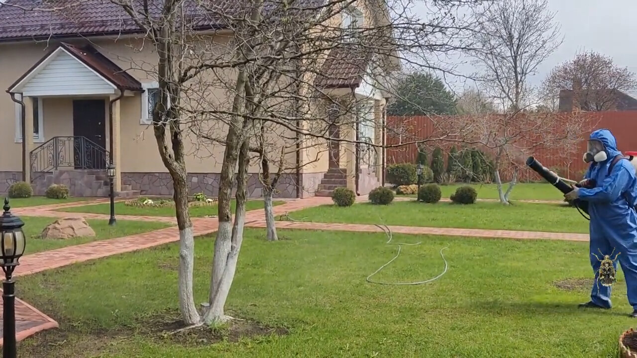 обработка сада, санитарная обработка сада, опрыскивание деревьев, опрыскивание сада, обработка участков от вредителей