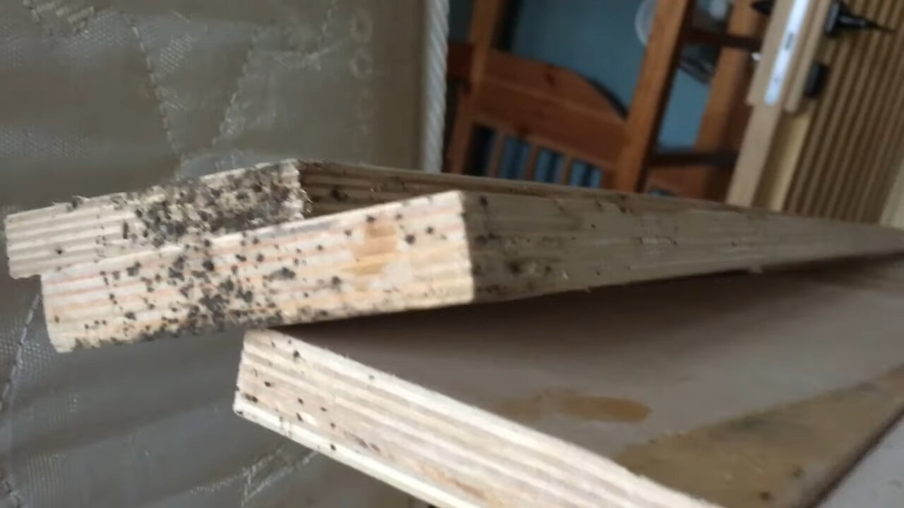 фанера, сосновая фанера, фанера строительная, фанерный лист, ламинированная фанера