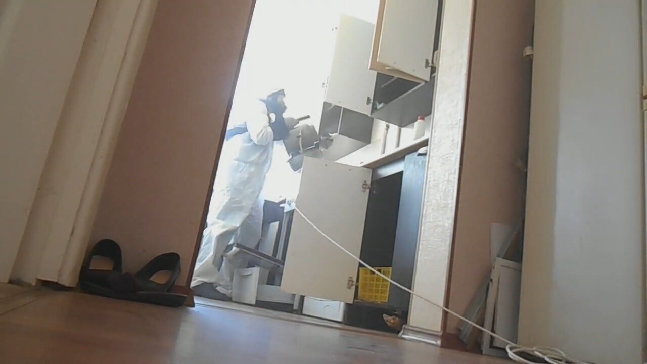 дезинсекция, дезинфекция, дезинфекция дезинсекция дератизация, дезинфекция помещений, дезинфекция от клопов