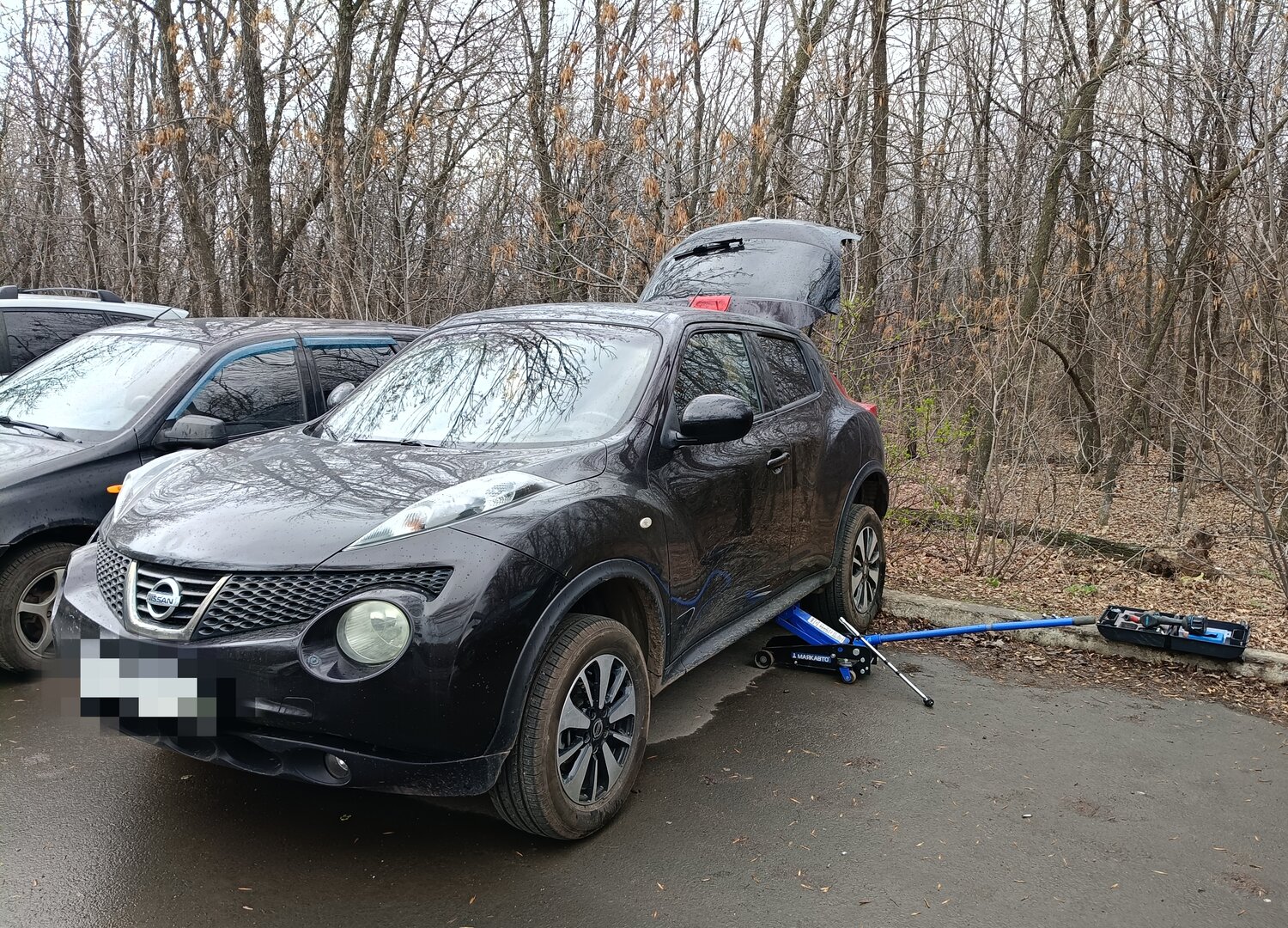 nissan juke 2012, ниссан жук 2012, ниссан жук 2013, nissan juke 2011, Nissan Juke I