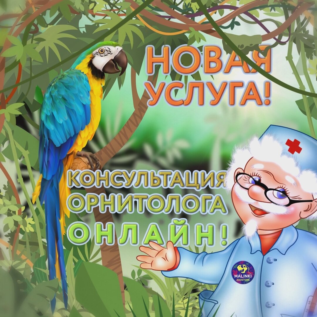 доктор айболит, айболит, доктор айболит для детей, орнитолог, доктор айболит и воробей